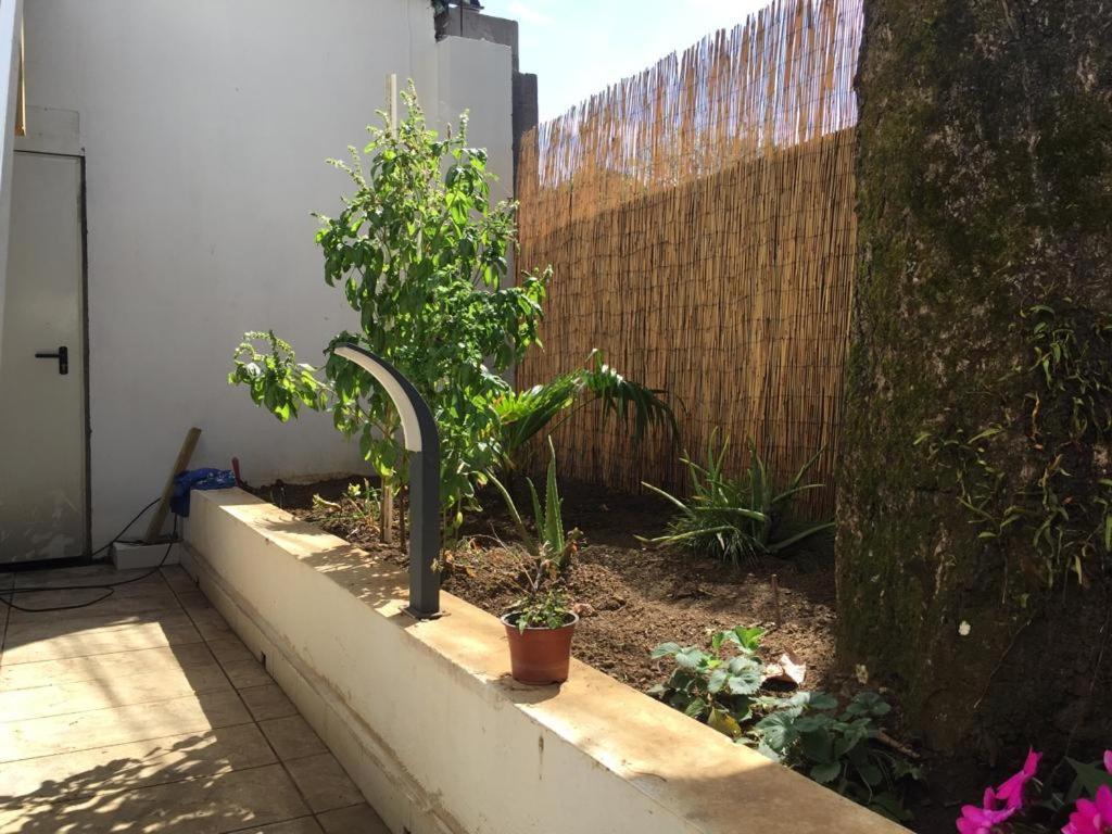 Nicole Residence Avec Piscine Chauffee & Jacuzzi سانت أندريه المظهر الخارجي الصورة
