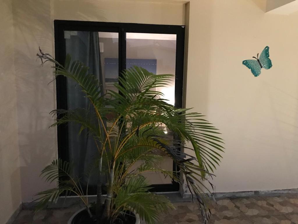 Nicole Residence Avec Piscine Chauffee & Jacuzzi سانت أندريه المظهر الخارجي الصورة