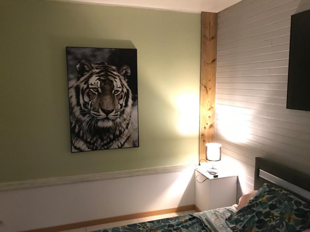 Nicole Residence Avec Piscine Chauffee & Jacuzzi سانت أندريه المظهر الخارجي الصورة